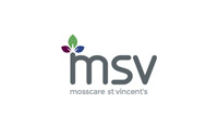 msv logo