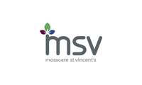 msv logo
